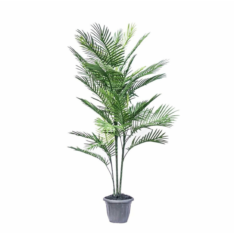 Palmier Areca en pot, H 66 po x l 43 po x P 43 po