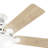 Hunter 52 Inch Pro's Best Energy Star® Ceiling Fan With Lights And Pull Chains-102555570-102555571