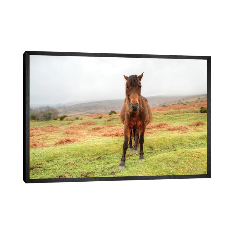 Stare Down by David Gardiner - Print on Canvas, 66.04 cm H x 45.72 cm W, Black Framed