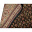 Wool Oriental Area Rug in Gold