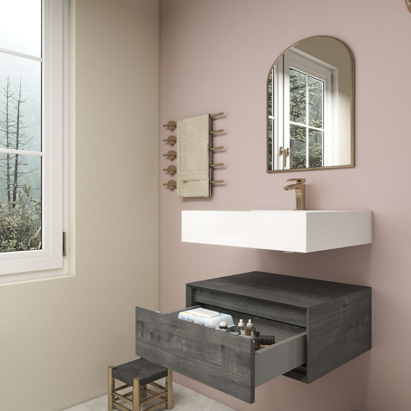 Alysa 24" Wall-Mounted Single Bathroom Vanity Set, Smoke Oak