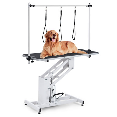 Heavy Duty Structural Hydraulic Max Load 350lbs Professional Pet Grooming Table With Adjustable Overhead Arm