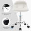 Hertzfeld Backed Adjustable Height Lab Stool-21158161