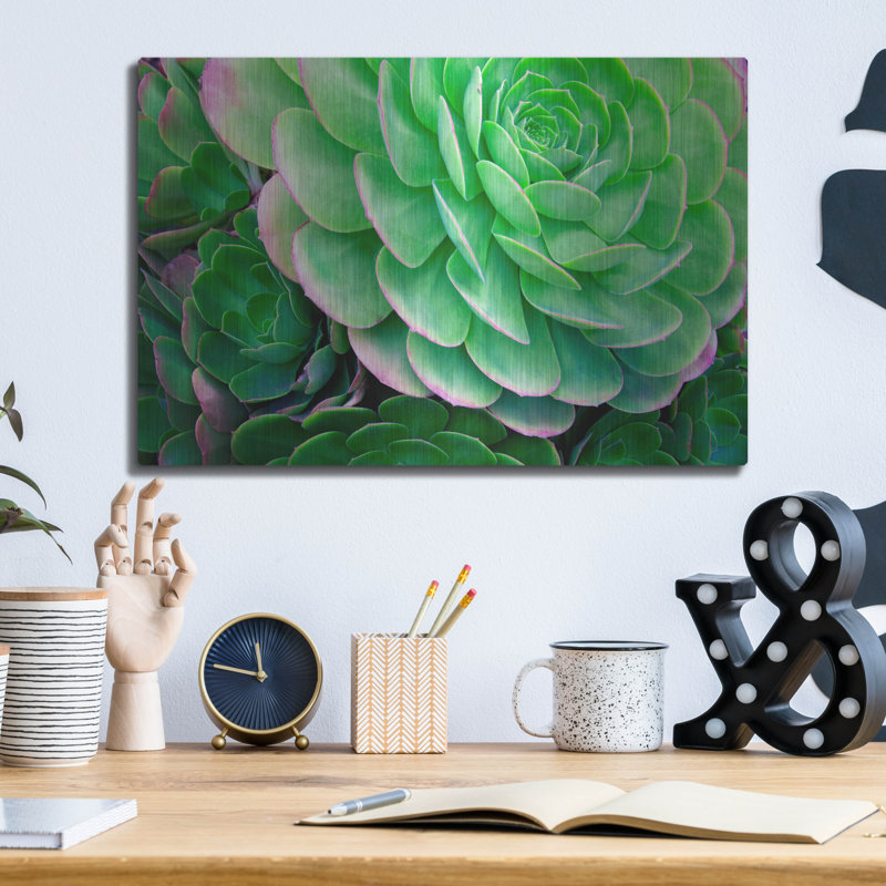 «Succulents IV» par Dennis Frates, H 12 po x l 16 po