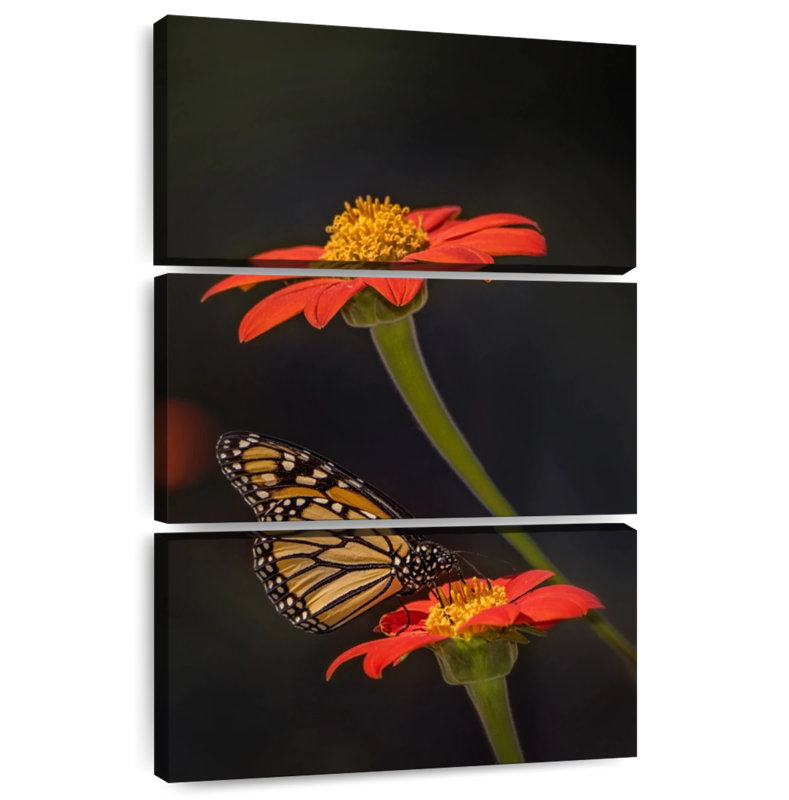 Brampt Butterfly Portrait I, 65" H x 42" W