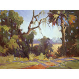 Kiawah Marsh Wetlands Print by John Beard