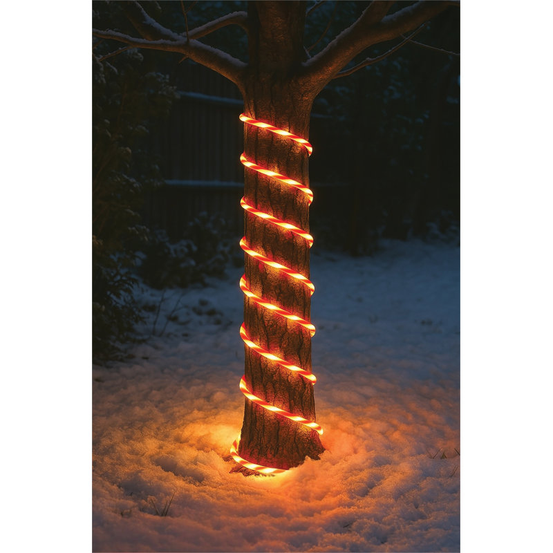 1000cm LED Indoor / Outdoor Rope Lights