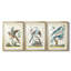 " Pastel Birds IV " 3 - Pieces-69983523-69983529
