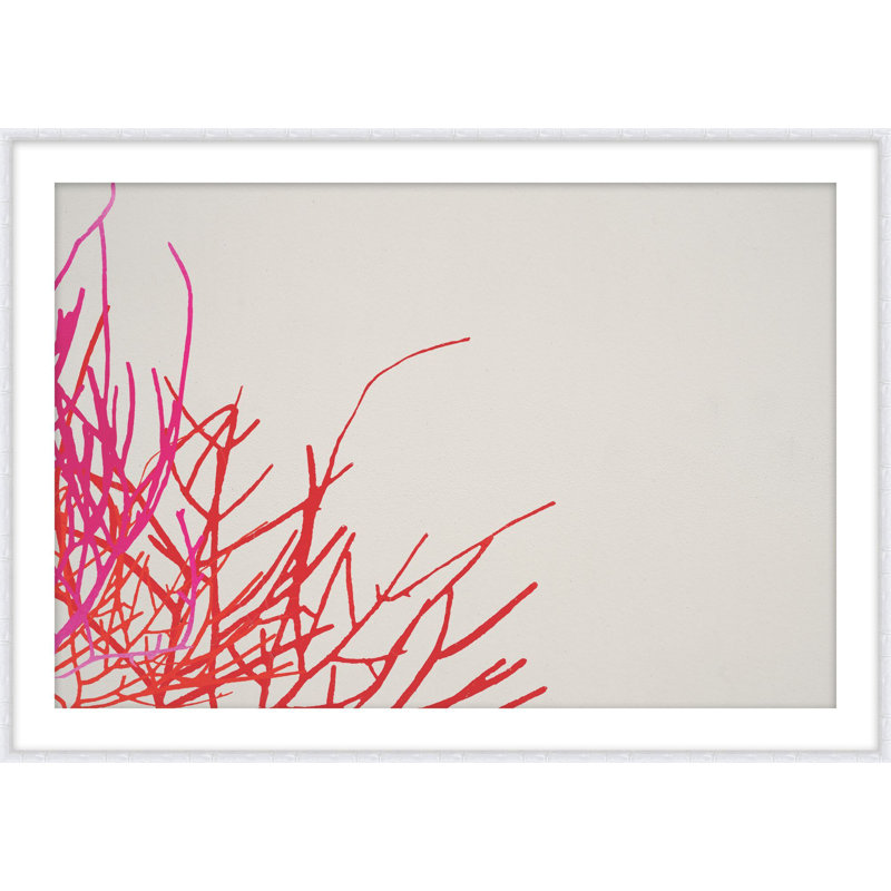 Coral Garden 2 Print by Jennifer Mckinnon Richman, 18.2" H x 24.2" W