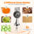 Lomana Stainless Steel Grater