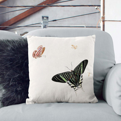 Square Throw Cushion