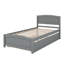 Platform Bed With Trundle-738194002