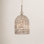 Single Light Dimmable Pendant