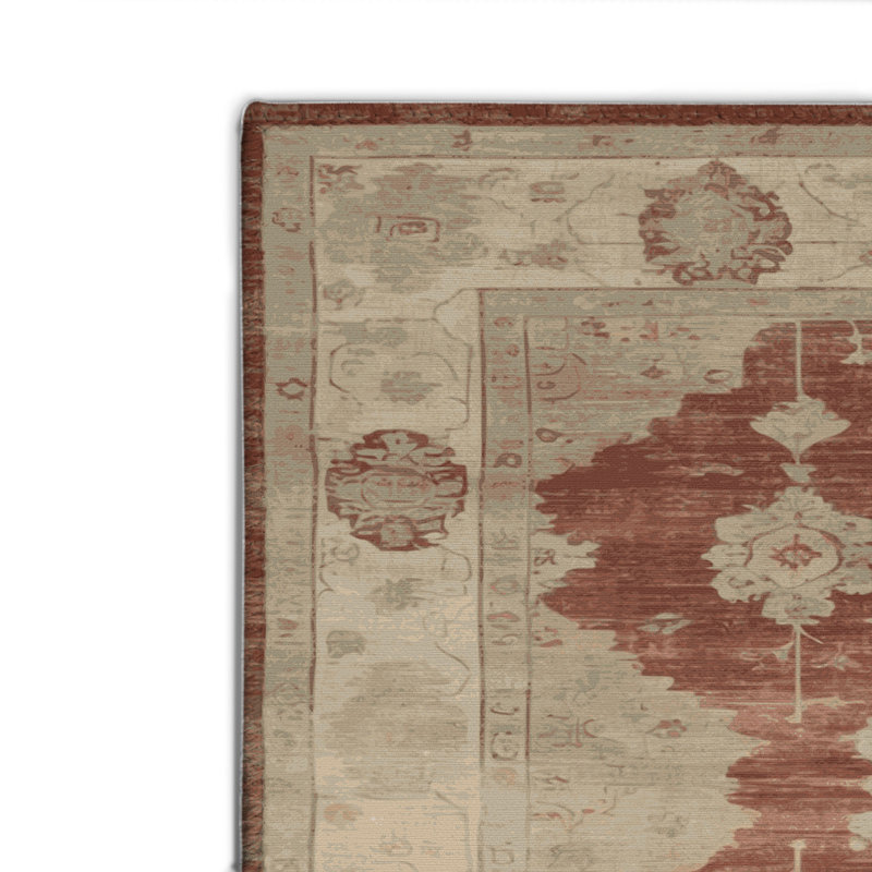 Tapis intérieur et extérieur brun Overdyed, Rectangulaire 2 pi x 3 pi