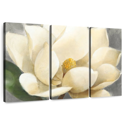 Fleur de magnolia Harnek sur fond gris