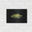 Art mural en métal Beachcrest Home ™ «ondulée» par Durwood Coffey-779094043