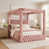 Rose est en rupture de stock