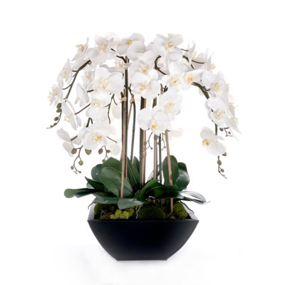 Orchid Faux Floral in Pot