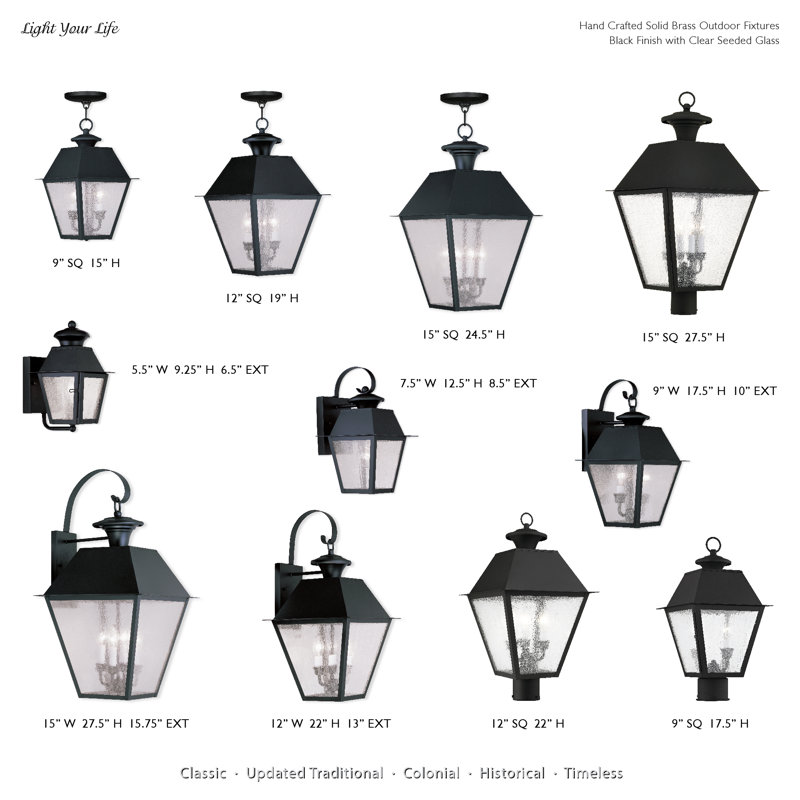 Tête de lanterne câblée à 1 lumière H 17,5 po Fraida, Noir
