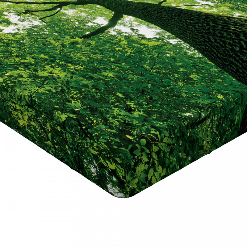 Drap-housse forest, Drap-housse de taille double