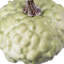 Décoration de table automne vert texturé à récolte automne 5,5 "