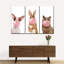 Drôle d'animaux mignons 3 pièces-93024674