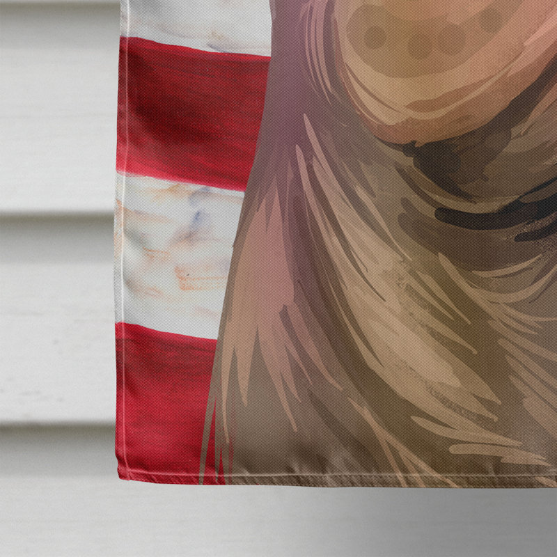 Polyester à 2 côtés 28 x 40 po drapeau maison, Shar Pei