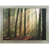 Shining Through Print