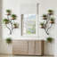 Support mural pour plantes avec 8 tablettes à niveaux, pot à fleurs suspendu pour la décoration intérieure, pot à fleurs peu encombrant pour le salon, le balcon ou le bureau