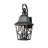Aarav Outdoor Metal Wall Light with Clear Glass