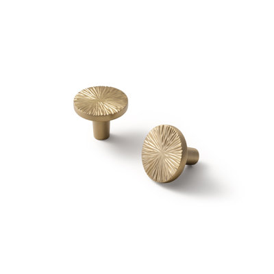 Novelty Irregular Circle Knob Multipack