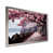 Silver Single Picture Framed