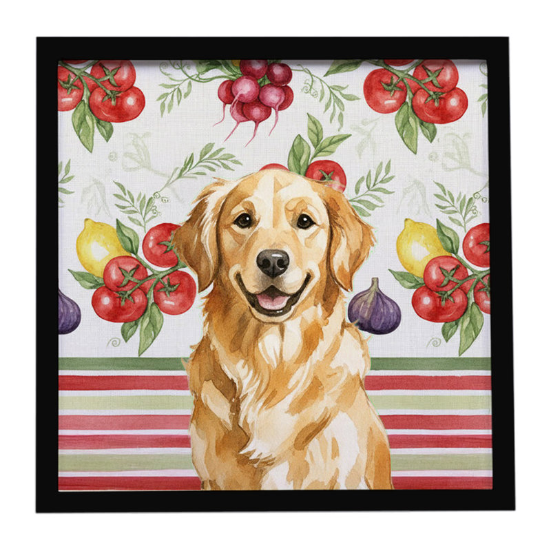 Golden Retriever Légumes, impression sur métal encadrée