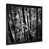 Cadre photo noir
