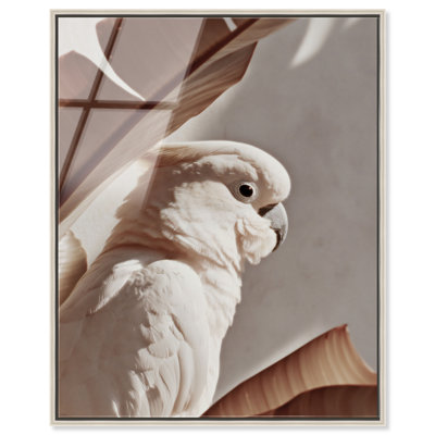Pale Cockatoo II Framed Acrylic Print Coastal Wall Art by Notoriart, Silver Frame, 30 x 36