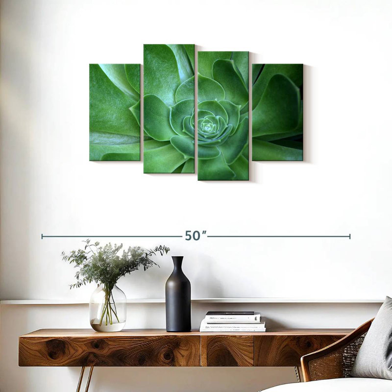 Succulant simple Harnek, H 22 po x l 36 po