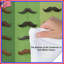Édredon divers styles de moustache-129430716