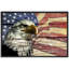 Effet de bois Grain Drapeau américain Aigle à tête blanche Nature Paysage Illustration Maison de campagne-100707500-100707503