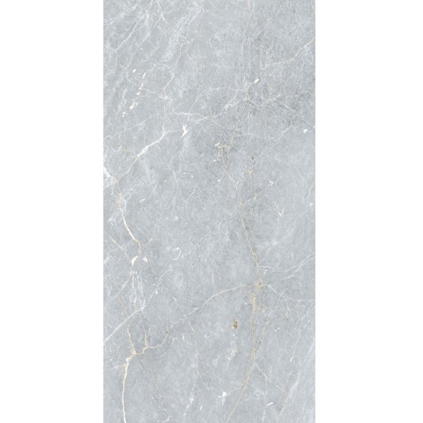24" x 48" Porcelain Marble Look Wall & Floor Natural Glossy Tile Marmo Grigio