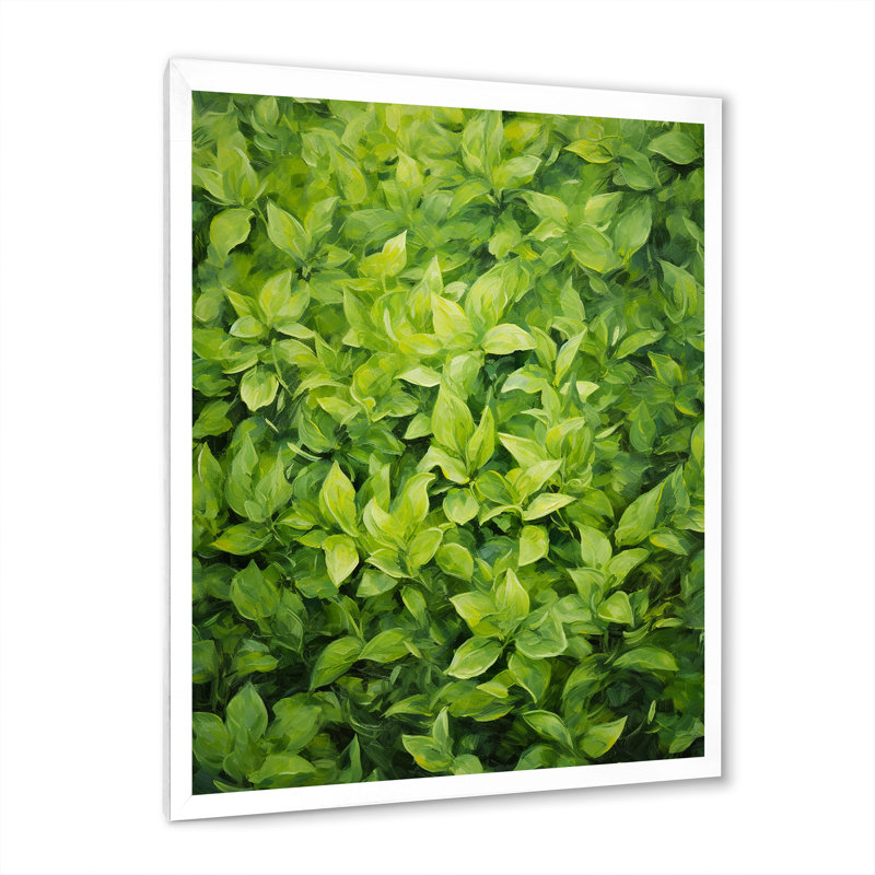 Herbes, thym, passage 1 - Art floral, Cadre simple blanc, H 44 po x l 34 po x P 1,5 po