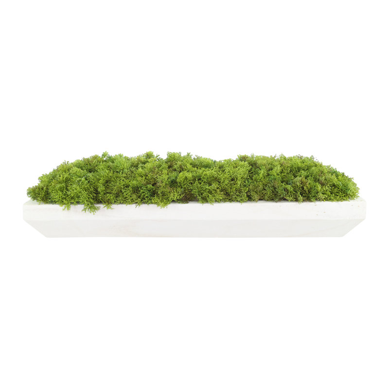 Moss Arrangement In Wood Dough Bowl