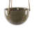 Olive est en rupture de stock