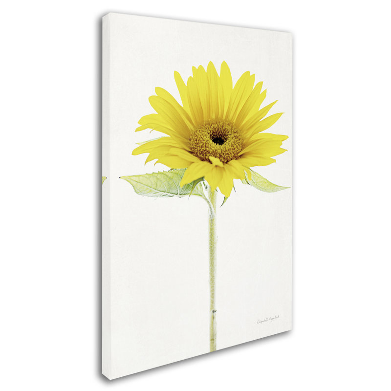 Nicodemus «Light and Bright Floral VIII», reproduction d'impression sur toile tendue, H 32 po x l 22 po