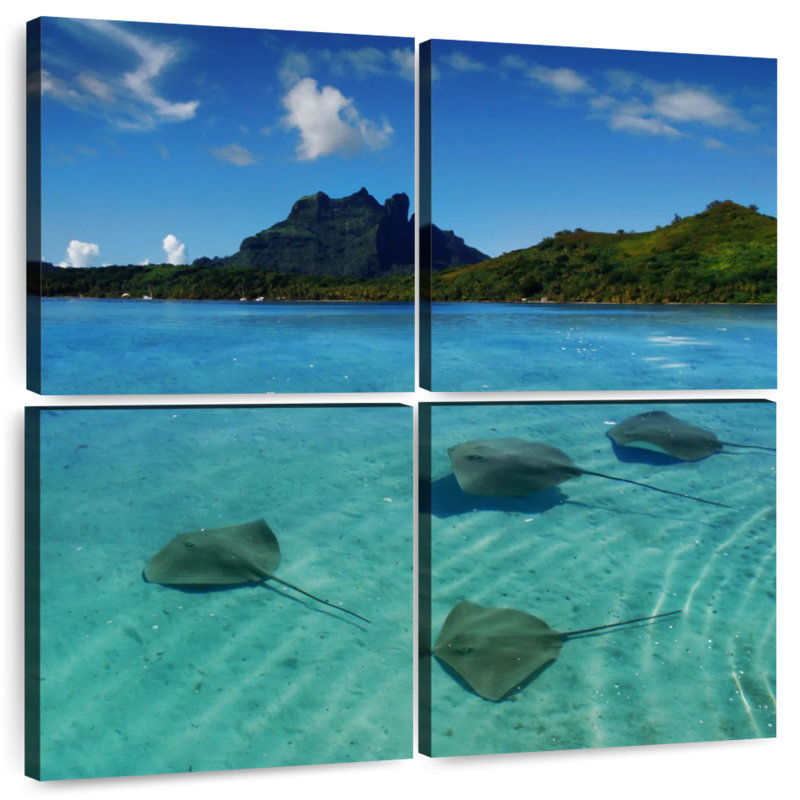 Brampt Bora Bora Stingrays, 38'' H x 38'' W