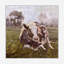 BROWN COW BROWN COW - Unframed Print on Canvas-1326880556-1229554136