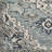 Minneapolis Machine Woven Oriental Area Rug-1171134214