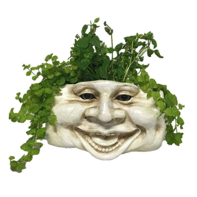 Muggly's Aunt Minnie Tree & Patio Wall Planter, Antique White