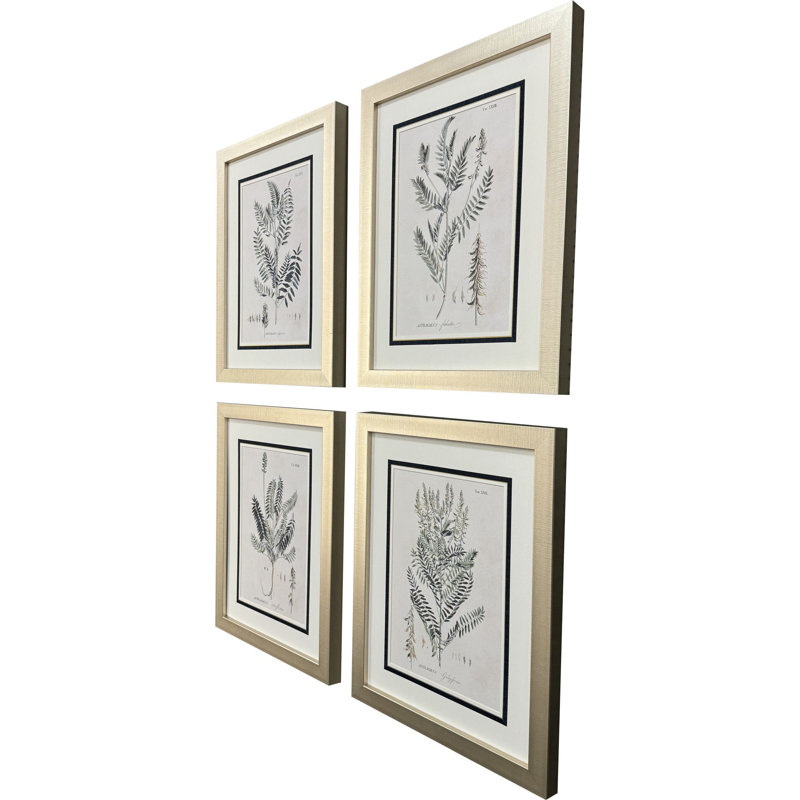 Astragalorum, art encadré