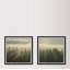 Monaco Monaco Sunlight Through Trees - 2 Piece Single Picture Frame Print-1582497805