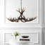 Lustre Rohrbach-1727971514-1665339195
